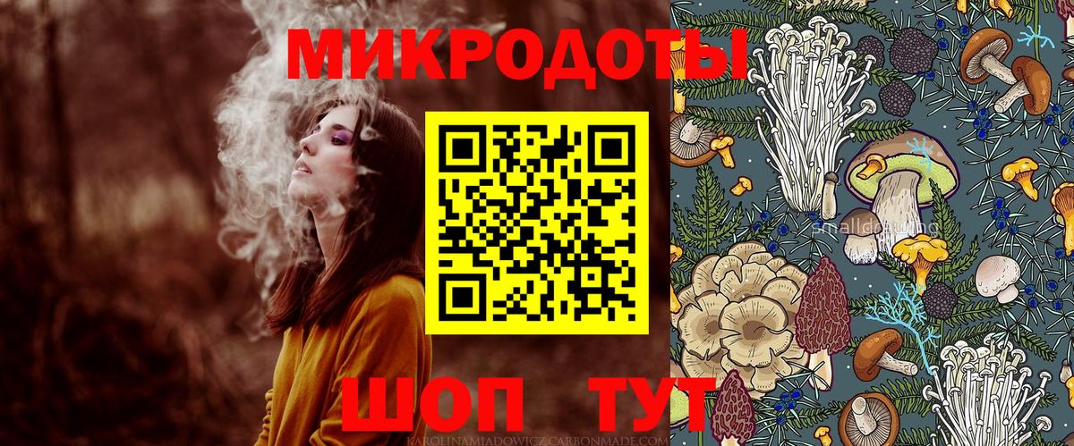Галлюциногенные грибы Psilocybine cubensis Острогожск