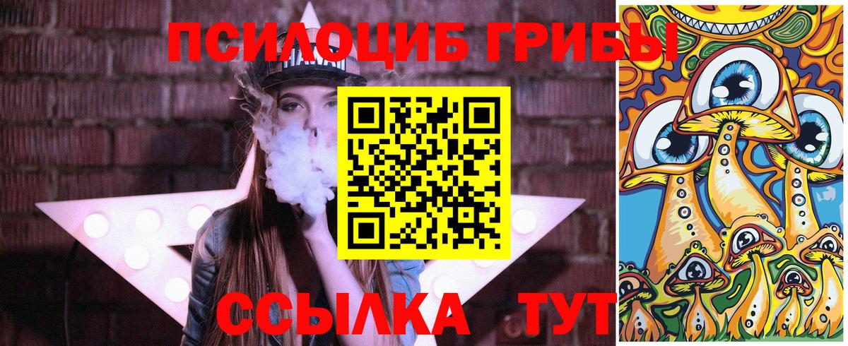 Галлюциногенные грибы Psilocybe  Псилоцибиновые грибы Psilocybe  Острогожск 